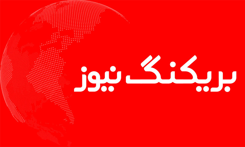 شہباز شریف 'بلامقابلہ' ن لیگ کے صدر منتخب | urduhumnews.wpengine.com