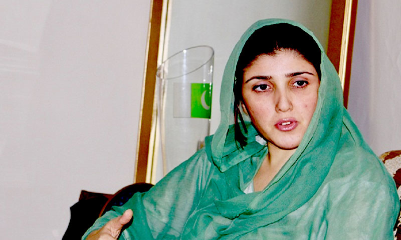 الیکشن میں دھاندلی کے دعوے بے بنیاد ہیں، عائشہ گلائی|humnews.pk