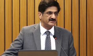 وزیر اعلیٰ سندھ کا صوبے میں گندم کے بحران پر قابو پالنے کا دعویٰ