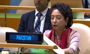 عالمی امن کیلیے مسئلہ کشمیر کا حل ناگزیر، پاکستان | urduhumnews.wpengine.com