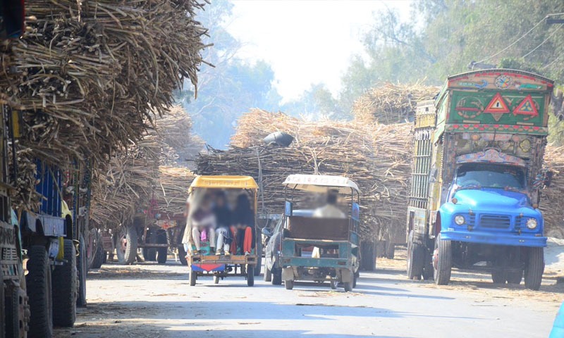 گنے کے کاشتکاروں کو واجبات ادا کرانے سندھ حکومت میدان میں اتر آئی|humnews.pk