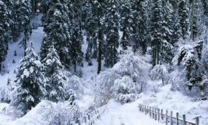 خیبرپختونخوا میں آج سے بارش اور برفباری کا سلسلہ شروع ہونے کا امکان
