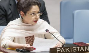 عالمی برادری مسئلہ کشمیر کے حل کیلئے ٹھوس اقدامات اٹھائے، پاکستانی مندوب | urduhumnews.wpengine.com