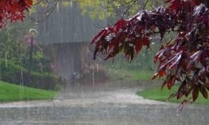 سندھ، بلوچستان اور خیبرپختونخوا میں بارش کا امکان
