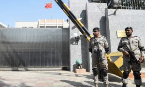 پاک چین تعلقات پر ایلس ویلز کا بیان بے بنیاد ہے، چین