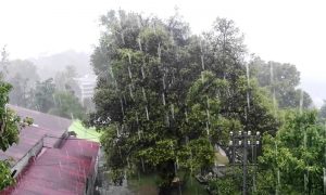 بیشتر علاقوں میں موسم خشک، بالائی علاقوں میں بارش کا امکان | urduhumnews.wpengine.com