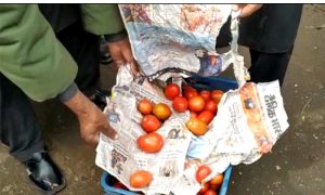   بھارت سے ٹماٹروں اور دیگراشیاء کی پاکستان اسمگلنگ کی کوشش ناکام