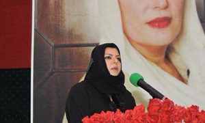 الیکشن کمیشن کی سینیٹر سحر کامران کے خلاف درخواست خارج