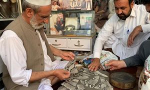 عمران خان : سانپ کی کھال والی ’عید چپل‘ وائلڈ لائف لے گیا