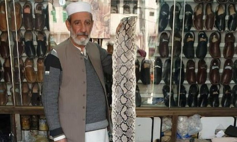 سانپ کی کھال سے چپل کی تیاری کا جرمانہ : 50 ہزار روپیہ