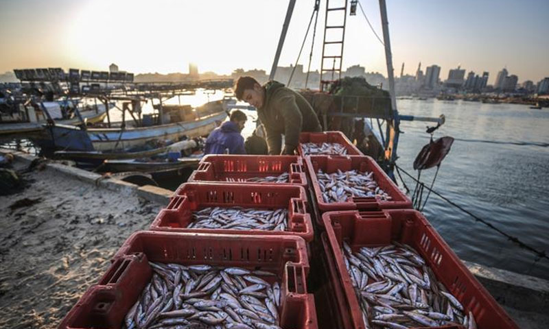 مظلوم فلسطینیوں سے ماہی گیری کا حق بھی چھین لیا گیا