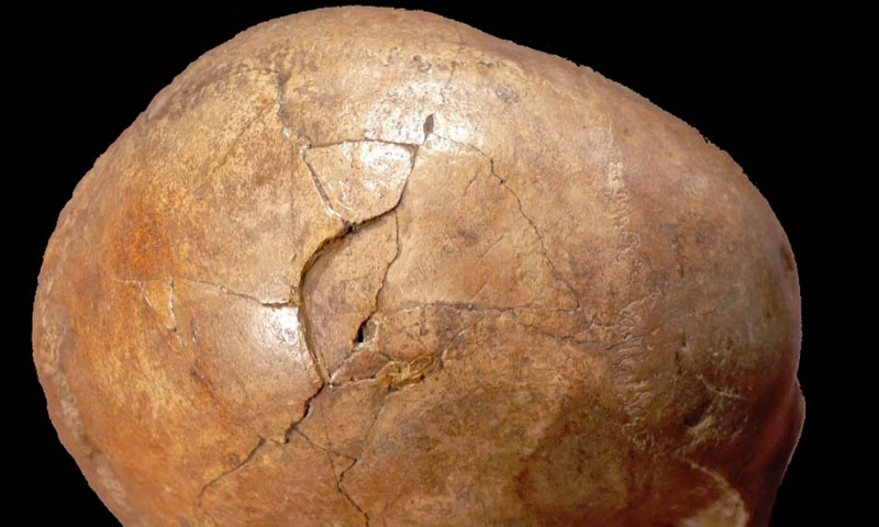 33 ہزار سال پہلے ہونے والے قتل کا معمہ حل ہو گیا
