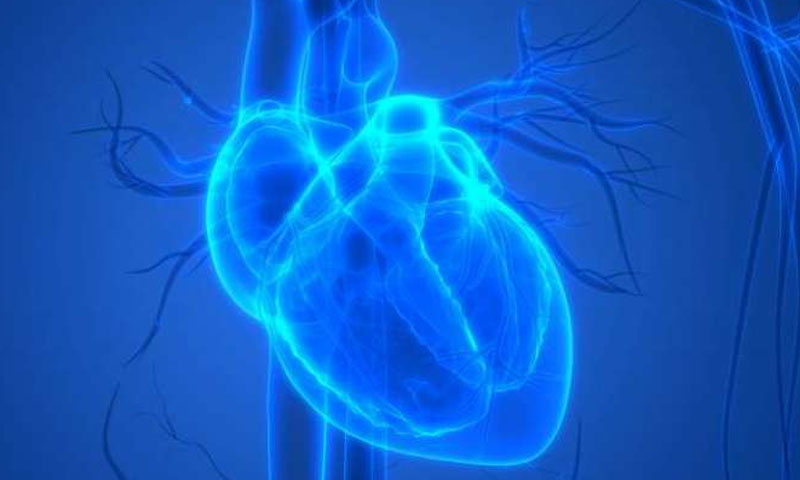 انسانی دل کی تھری ڈی پرنٹنگ: اعضا عطیہ دینے والوں کی ضرورت نہیں رہی؟