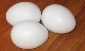 ہشیار: کراچی میں پلاسٹک کے انڈوں کی فروخت کا انکشاف