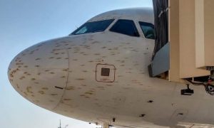 پی آئی اے کی پرواز پر ٹڈی دل کا حملہ، جہاز کی ونڈ اسکرین کو نقصان