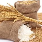 گندم قیمت