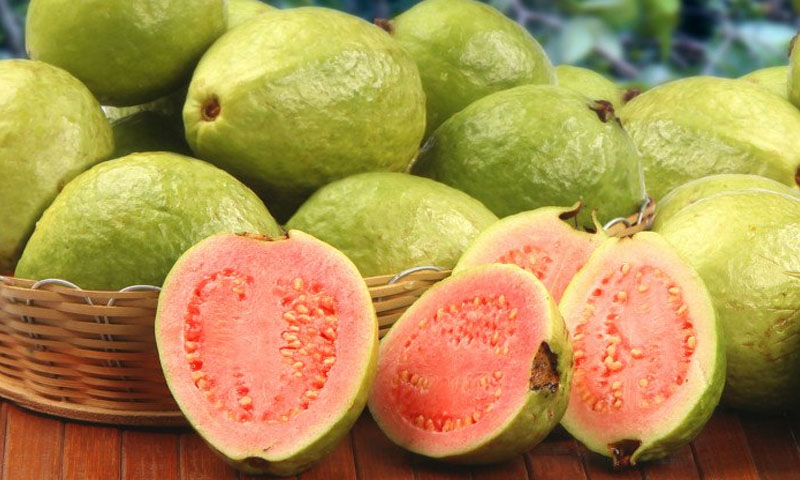 امرود کے حیرت انگیز فائدے