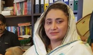 نوشہرو فیروز: مقتولہ رکن سندھ اسمبلی شہناز انصاری کے قتل کا مقدمہ درج