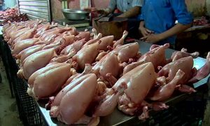 مرغی کی قیمت رواں سال کی کم ترین سطح پر پہنچ گئی