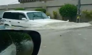 میرے گھر کے سامنے سیلابی صورتحال ہے، علی زیدی نے ویڈیو شیئر کر دی