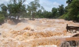 دریاؤں کے حفاظتی بند ٹوٹنے سے دیہات زیرآب آگئےاور سینکڑوں ایکڑ پر کھڑی فصلیں تباہ ہوگئی ہیں