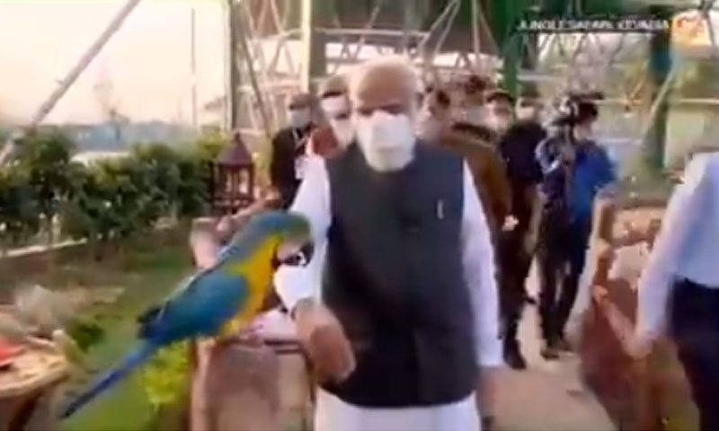 طوطے نے بھارتی وزیر اعظم نریندر مودی کو پہچان لیا