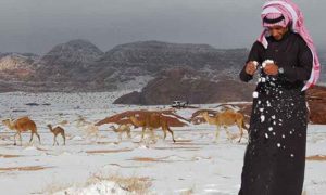 سعودی عرب میں برف باری، پہاڑوں نے سفید چادر اوڑھ لی