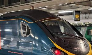 لندن: مانچسٹر روانہ ہونے والی ٹرین بلی نے رکوا دی