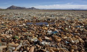 بولیویا کی خوبصورت جھیل کچرے میں تبدیل