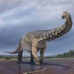 Dinosaur