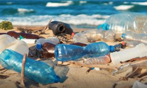 چین نے ماحول دوست پلاسٹ ایجاد کر لیا