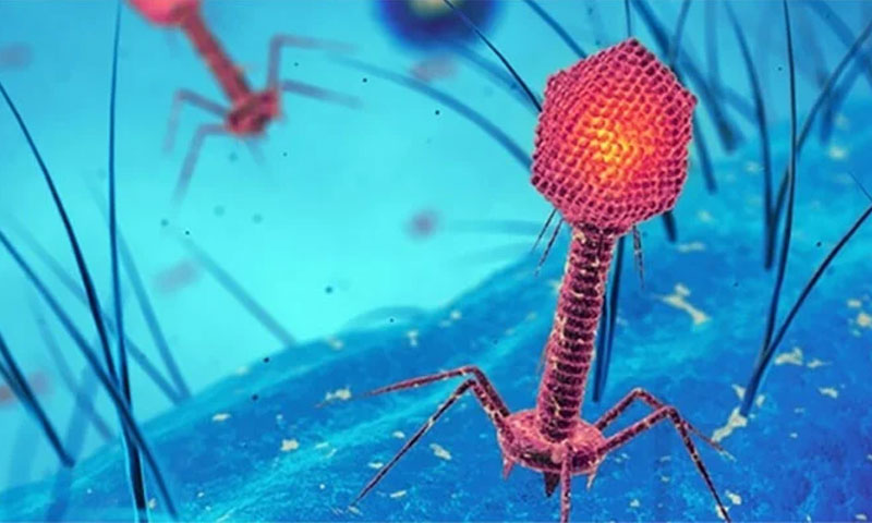 کورونا وائرس، نئی خطرناک قسم لیمبڈا کا انکشاف