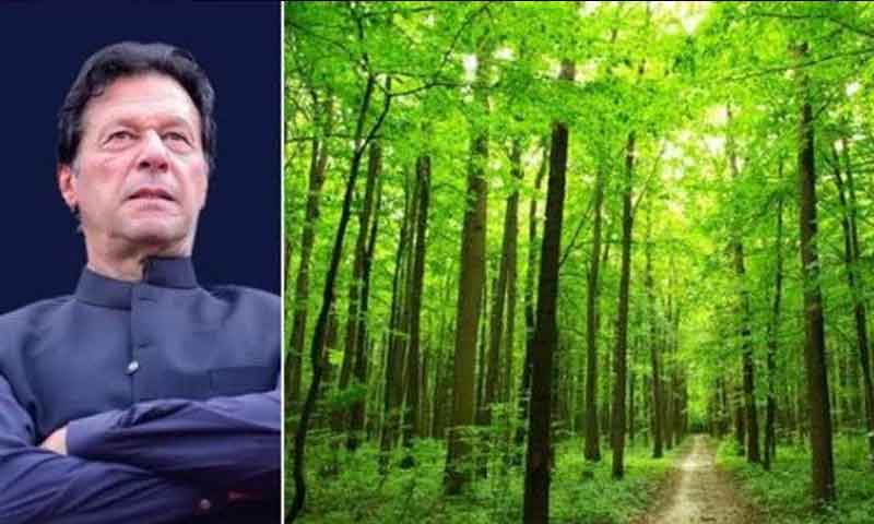 وزیر اعظم آج رکھ جھوک میں اسمارٹ جنگل کا افتتاح کریں گے