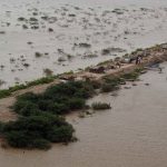 Flood