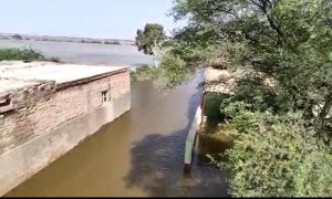 ٹھٹھہ: تحصیل صوف شورو میں سیلابی پانی داخل، 200 گاؤں زیر آب