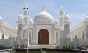 والدہ سے اظہار عقیدت، بھارتی شہری نے کروڑوں روپے سے تاج محل تعمیر کرا دیا