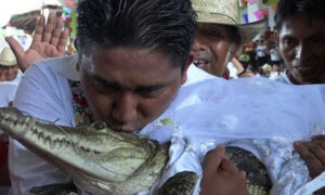 میکسیکو، میئر کی مادہ مگر مچھ سے شادی، وفاداری کی قسم بھی کھائی