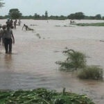 Flood