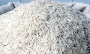 چاول کی برآمد rice