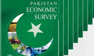 اقتصادی سروے