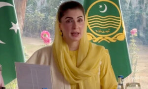 مریم نواز