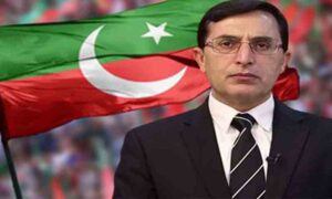 بیرسٹر گوہر