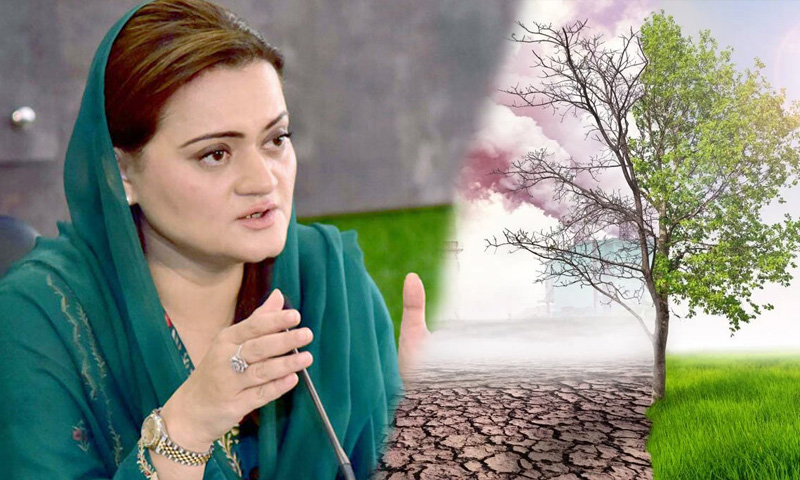 مریم اورنگزیب