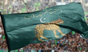 ن لیگ
