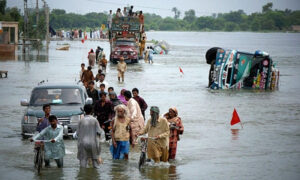 Flood