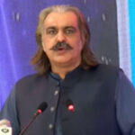 Ali Ameen Gandapur
