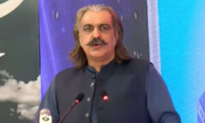 Ali Ameen Gandapur