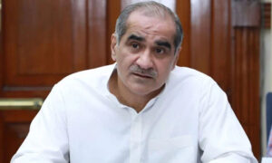 سعد رفیق