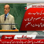 shehbaz sharif