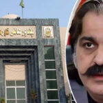 Ali Amin Gandapur